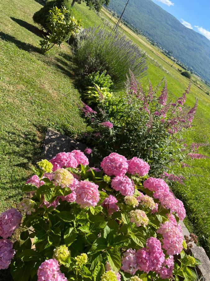 Holiday Home Bozica Licko Lesce Eksteriør billede